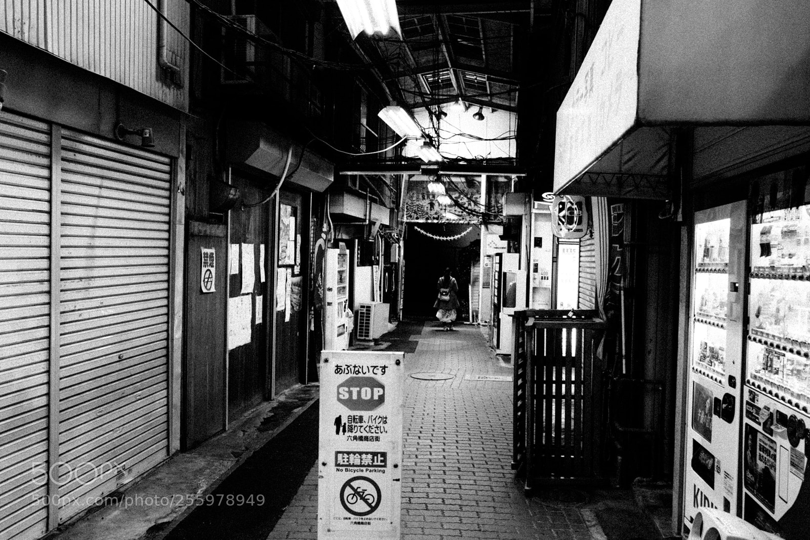 Fujifilm X-Pro2 sample photo. No title photography