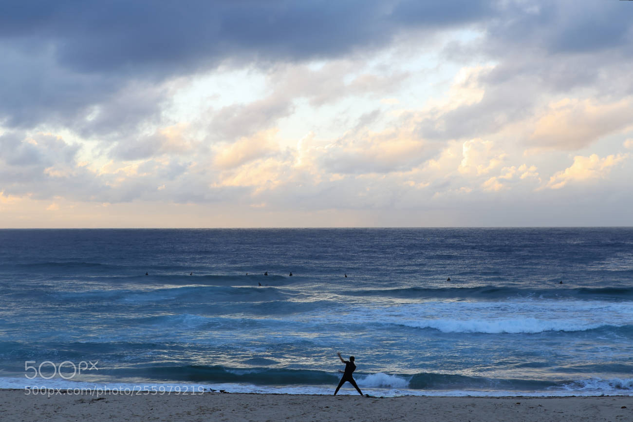 Canon EOS 6D + Canon EF 24-70mm F2.8L USM sample photo. Surf in australia photography