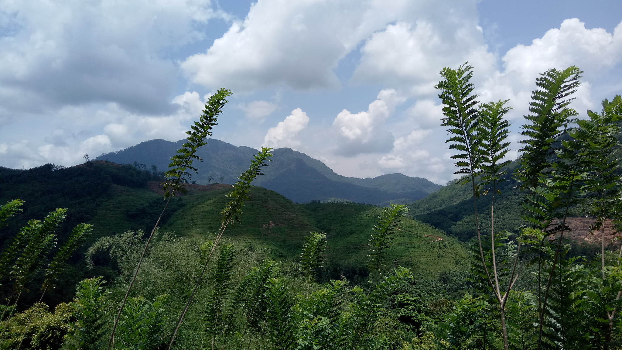 OPPO CPH1609 sample photo. Kitulgala photography