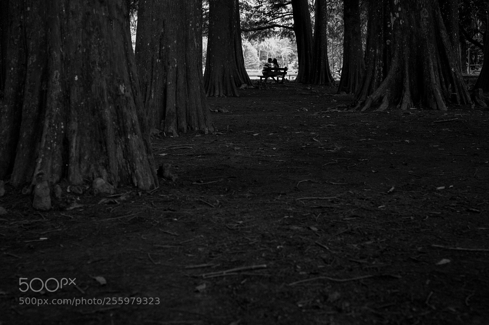 Nikon D700 sample photo. Silhueta de casal photography