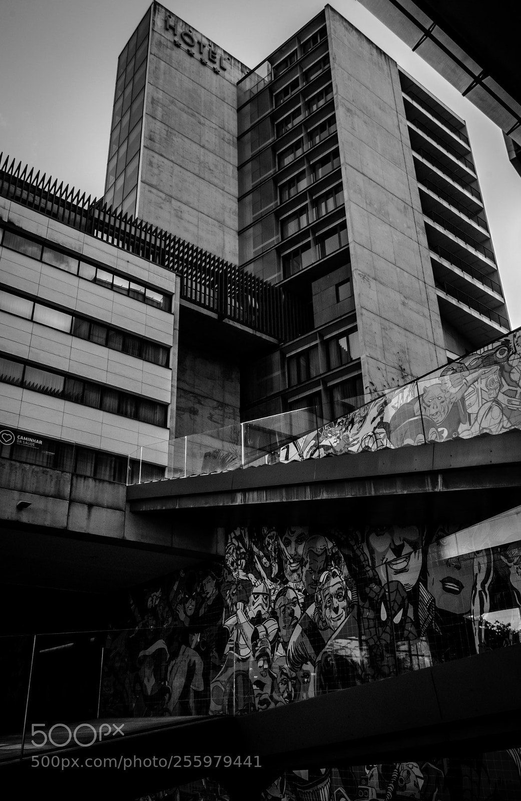 Nikon D5000 sample photo. B&w photography