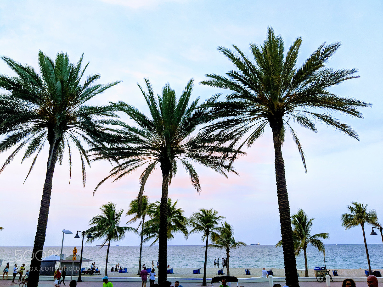 Google Pixel 2 sample photo. Palm trees podium photography