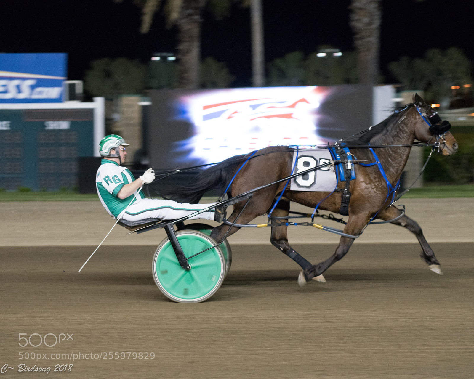 Sony a7R III sample photo. Harness racing photography