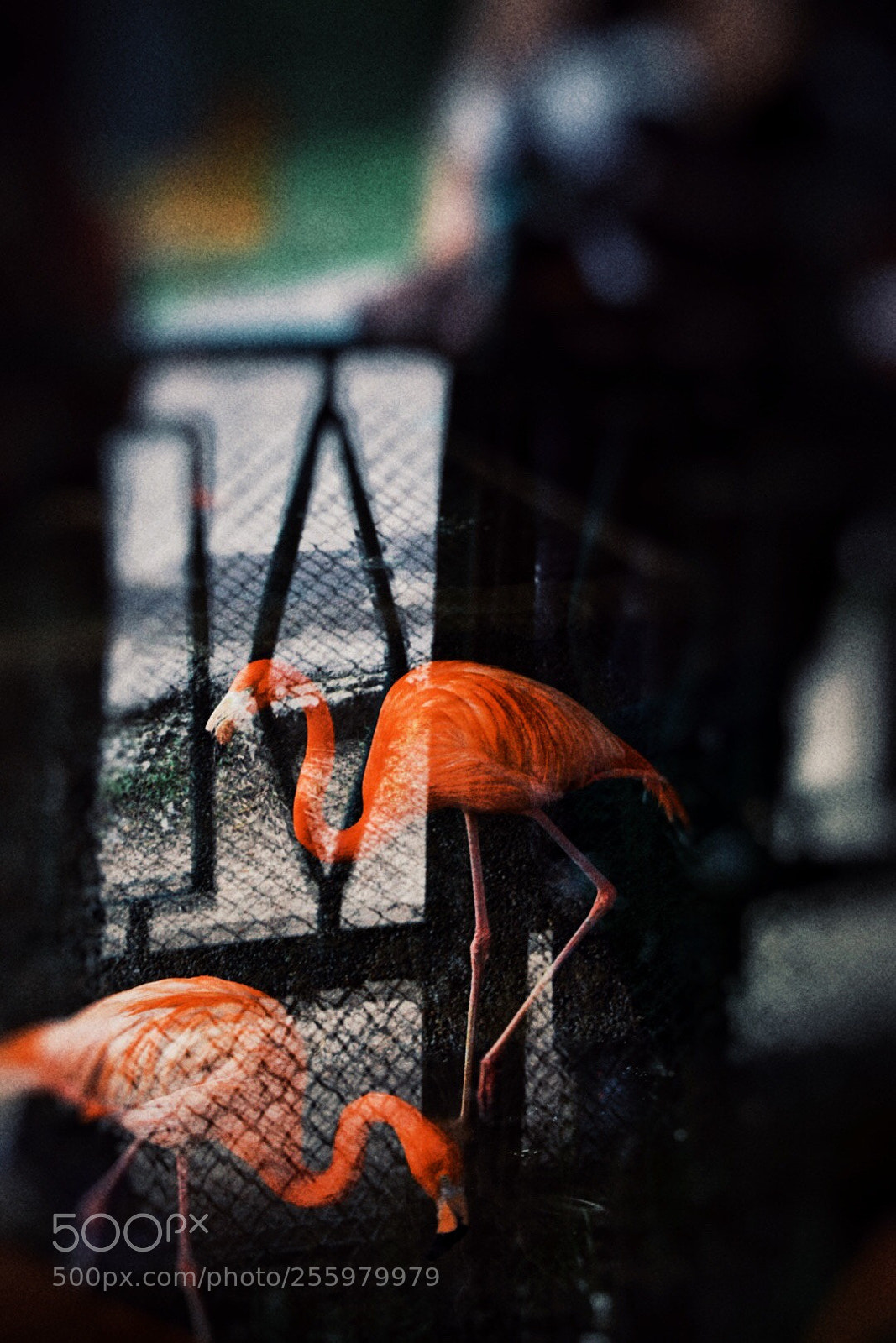 Nikon D5300 sample photo. Untitled photography
