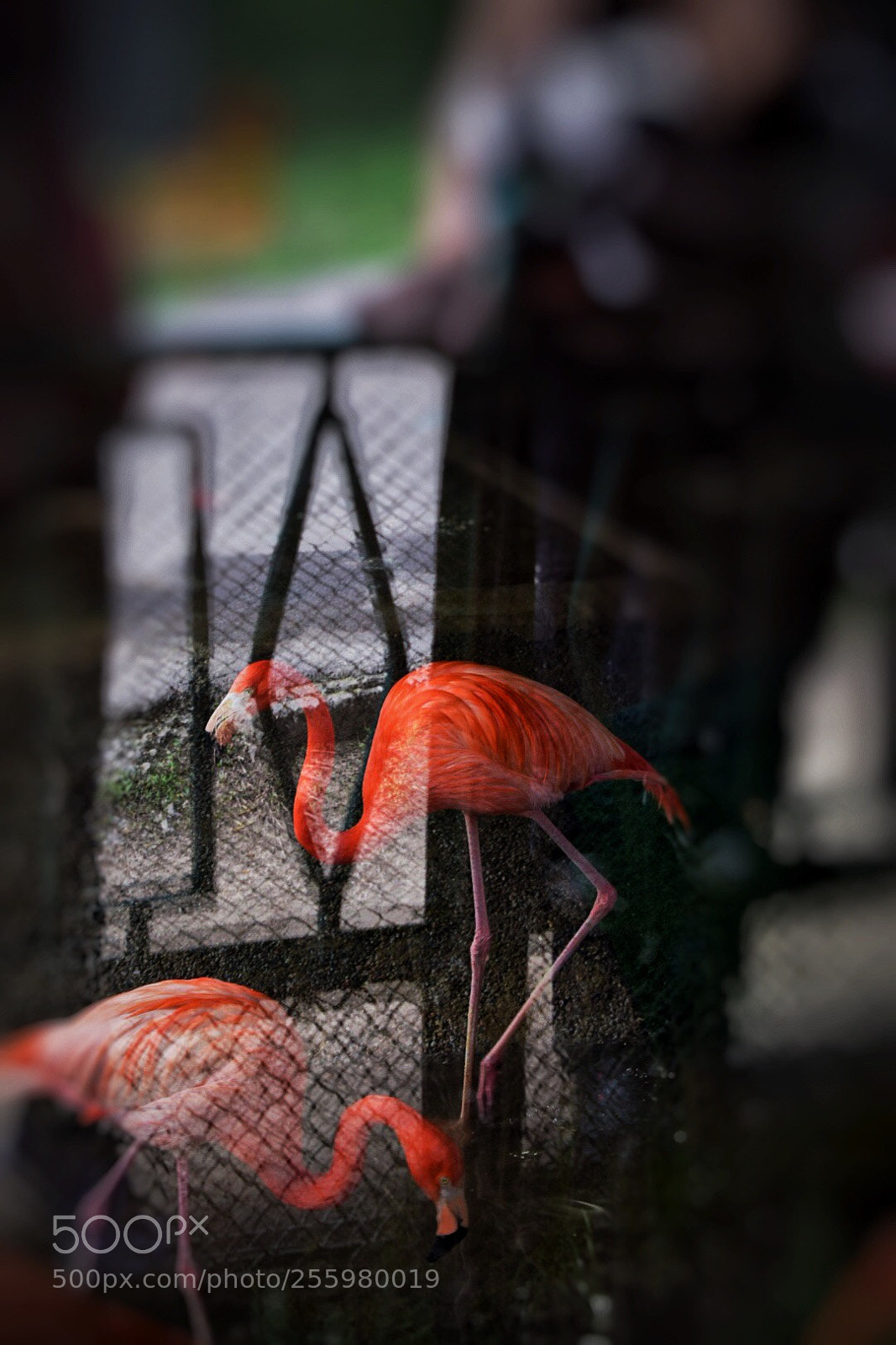Nikon D5300 sample photo. Untitled photography