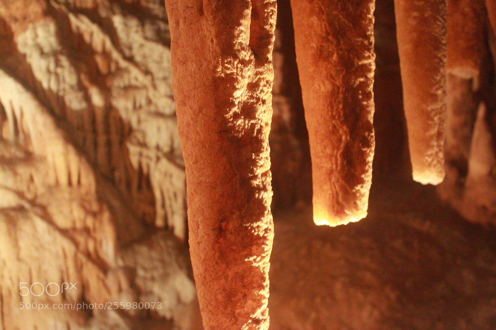 Canon EOS 550D (EOS Rebel T2i / EOS Kiss X4) sample photo. Cave photography