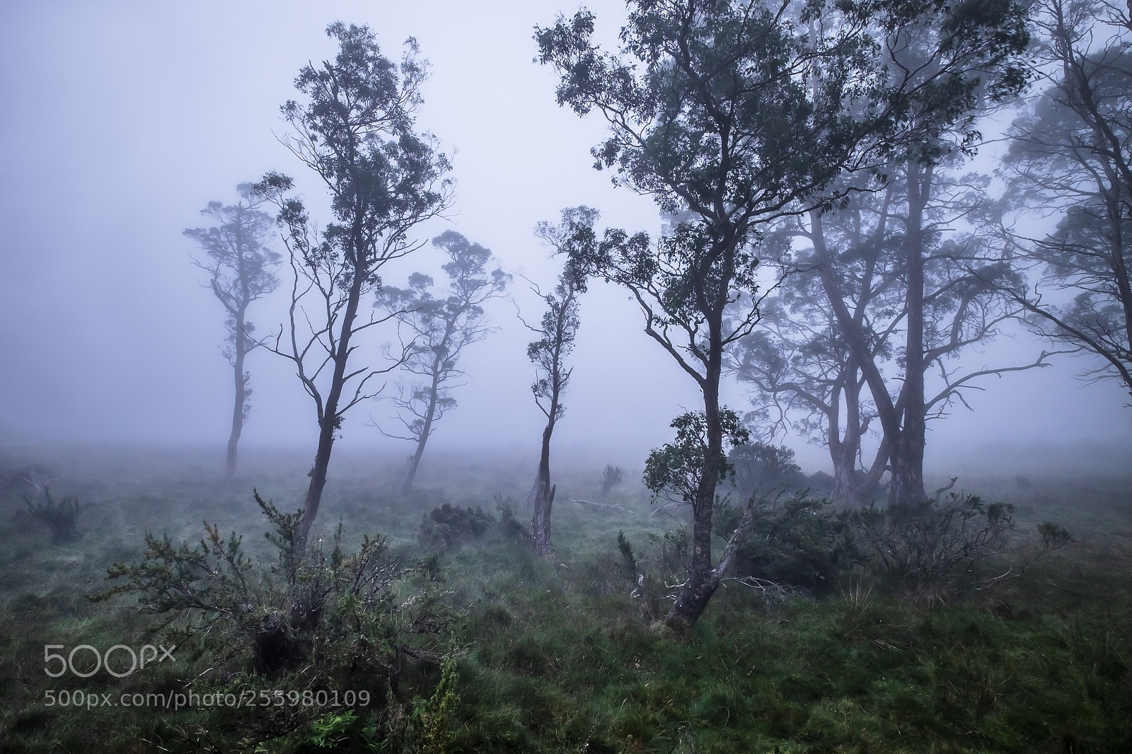 Fujifilm X-T1 sample photo. No views today... photography