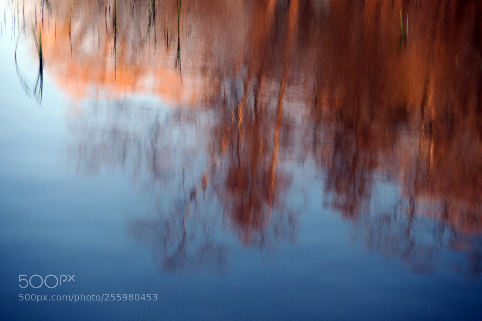 Olympus OM-D E-M1 sample photo. River palette photography