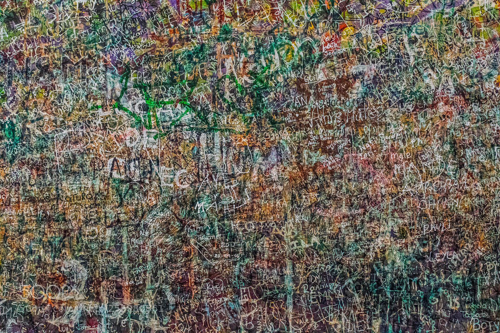 Nikon D5300 sample photo. Untitled photography