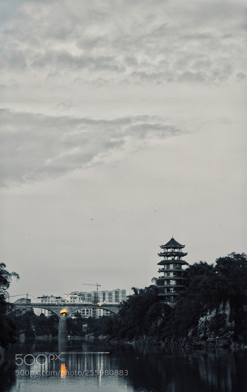 Sony a7 II sample photo. Untitled photography