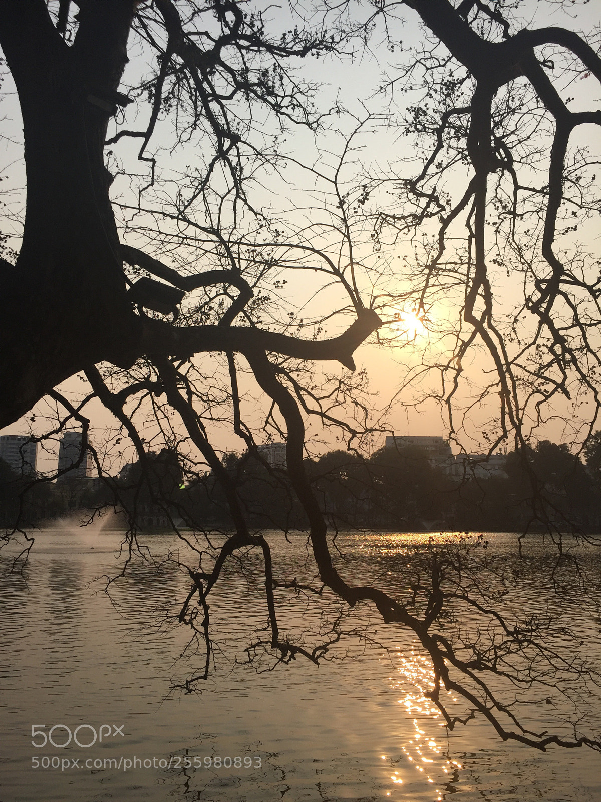 Apple iPhone 6 sample photo. Sky’s painting photography