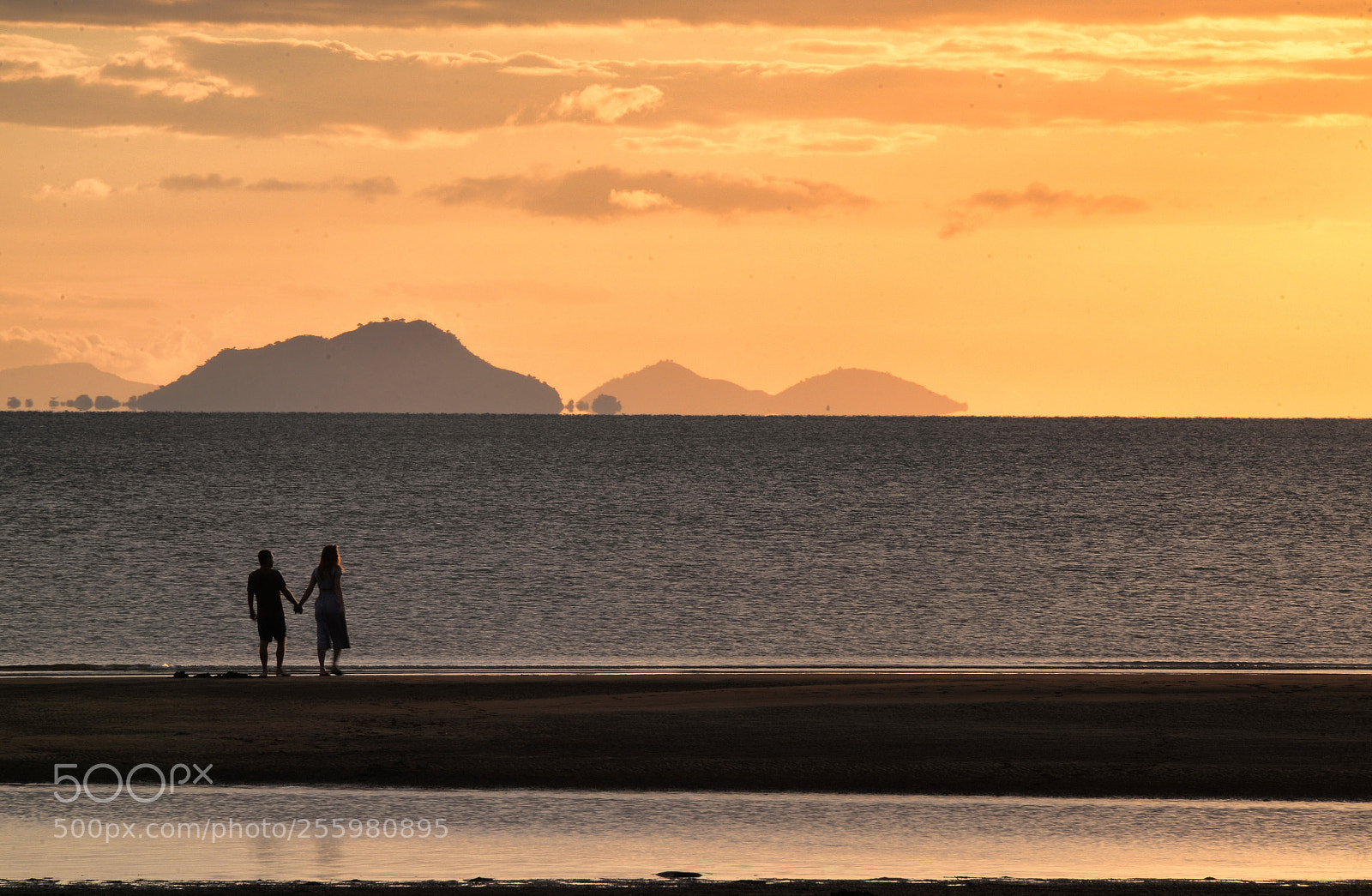 Nikon D610 sample photo. Hold hands on the photography