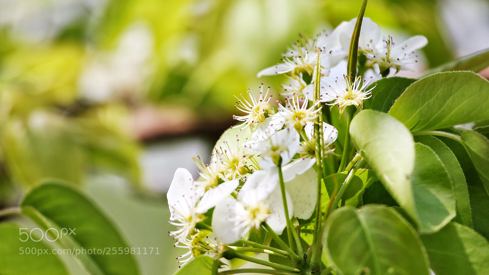 Canon EOS 6D sample photo. Untitled photography