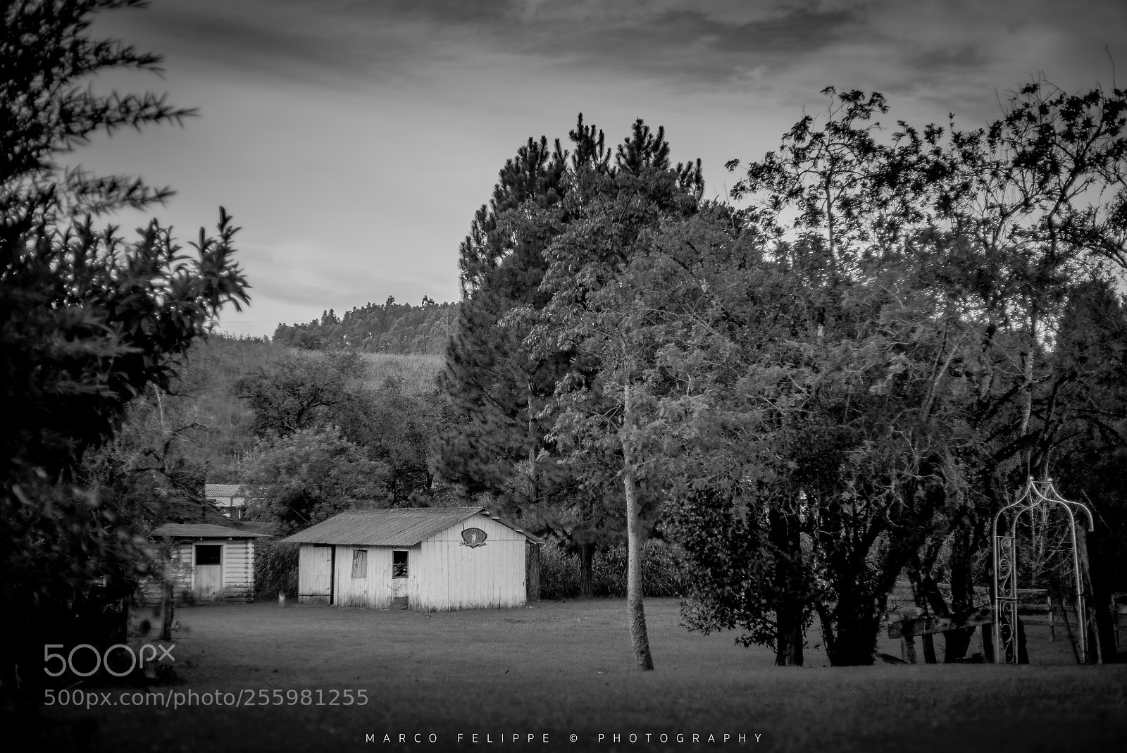 Sony a7S II sample photo. Noir #94 photography