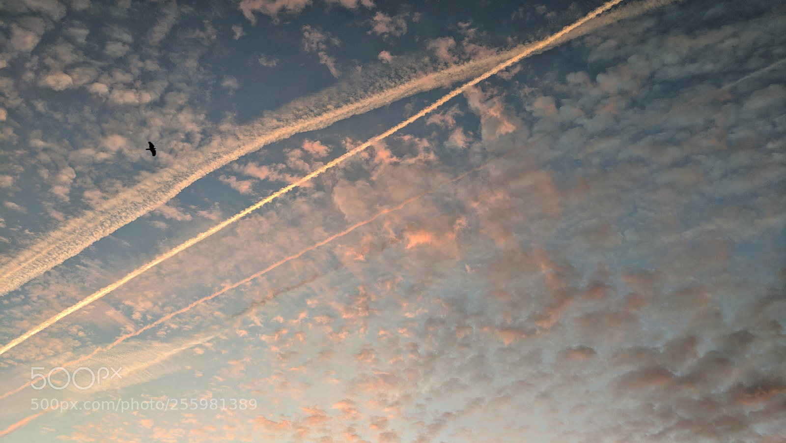 Google Pixel XL sample photo. Painting the skies photography