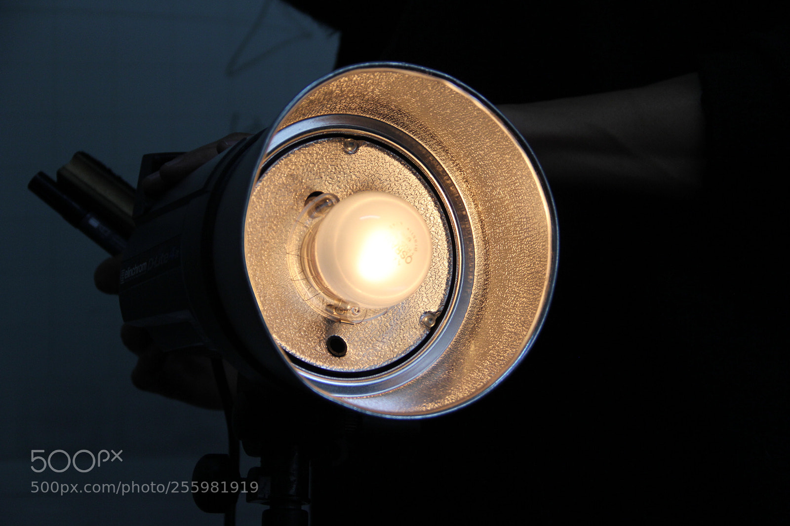 Canon EF-S 18-135mm F3.5-5.6 IS sample photo. Img photography