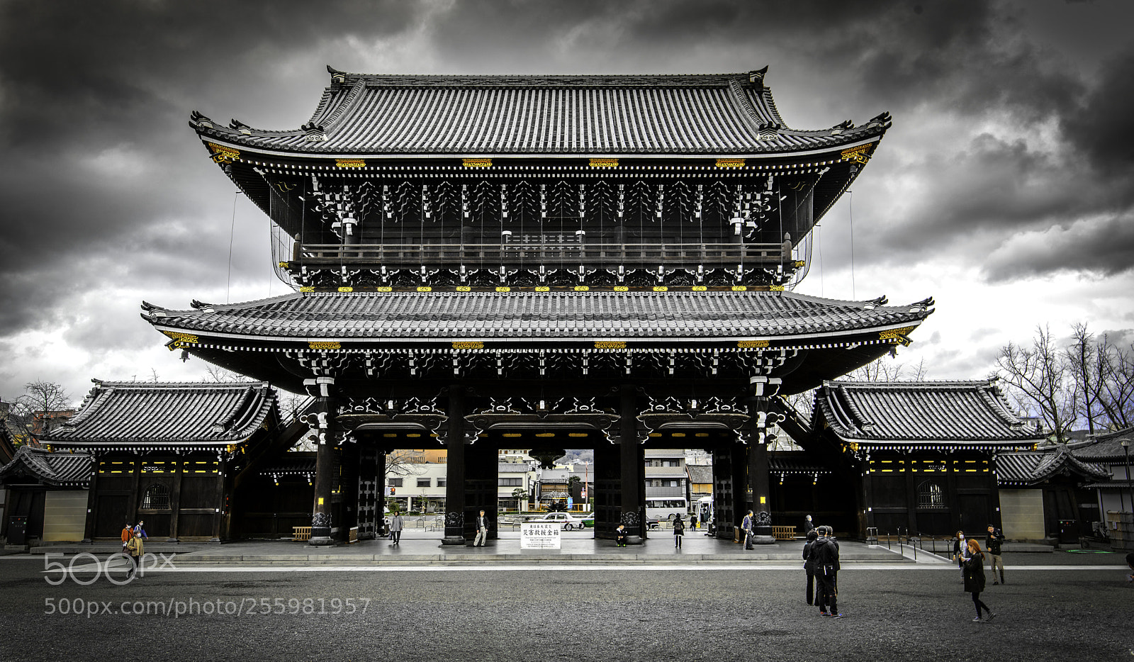 Nikon D600 sample photo. Kyoto photography
