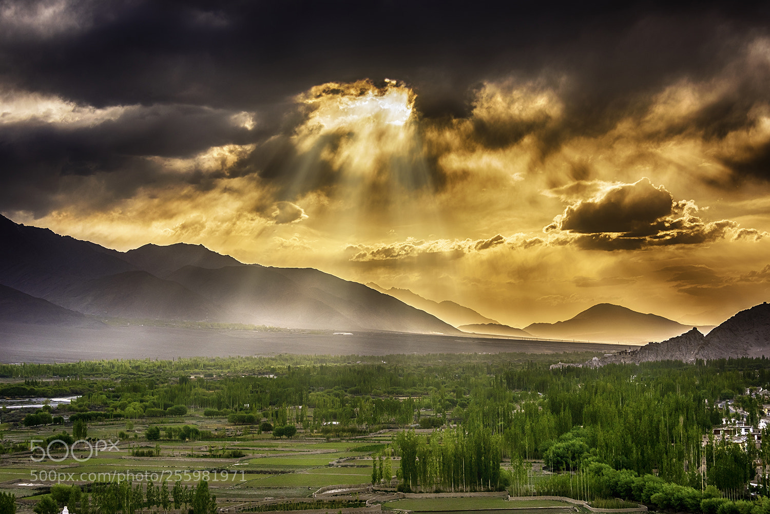 Nikon D810 sample photo. Ladakh photography