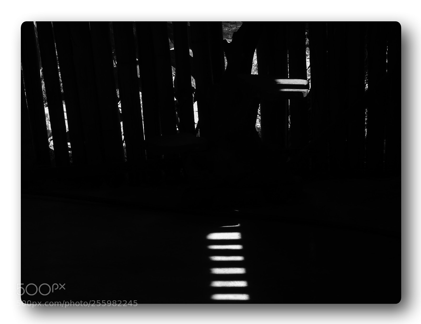 Olympus PEN E-PL7 sample photo. Light and shadow #01 photography