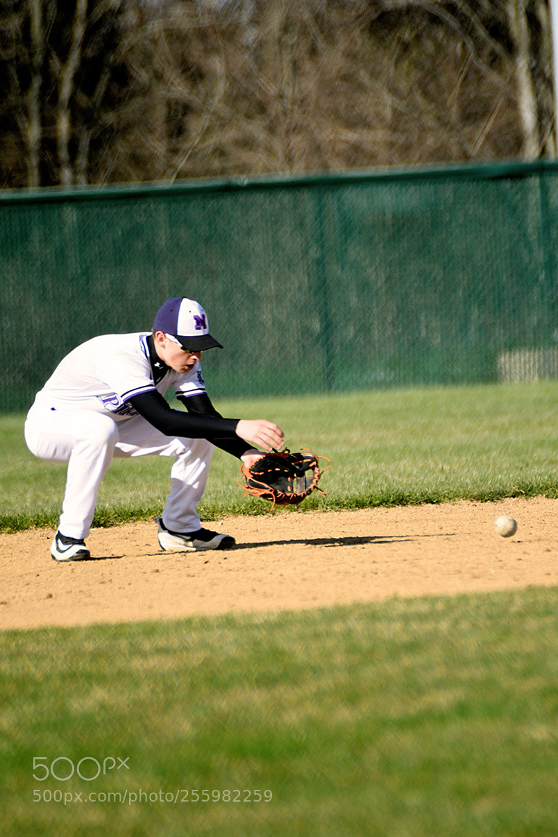 Nikon D500 sample photo. 4-25_0017.jpg photography
