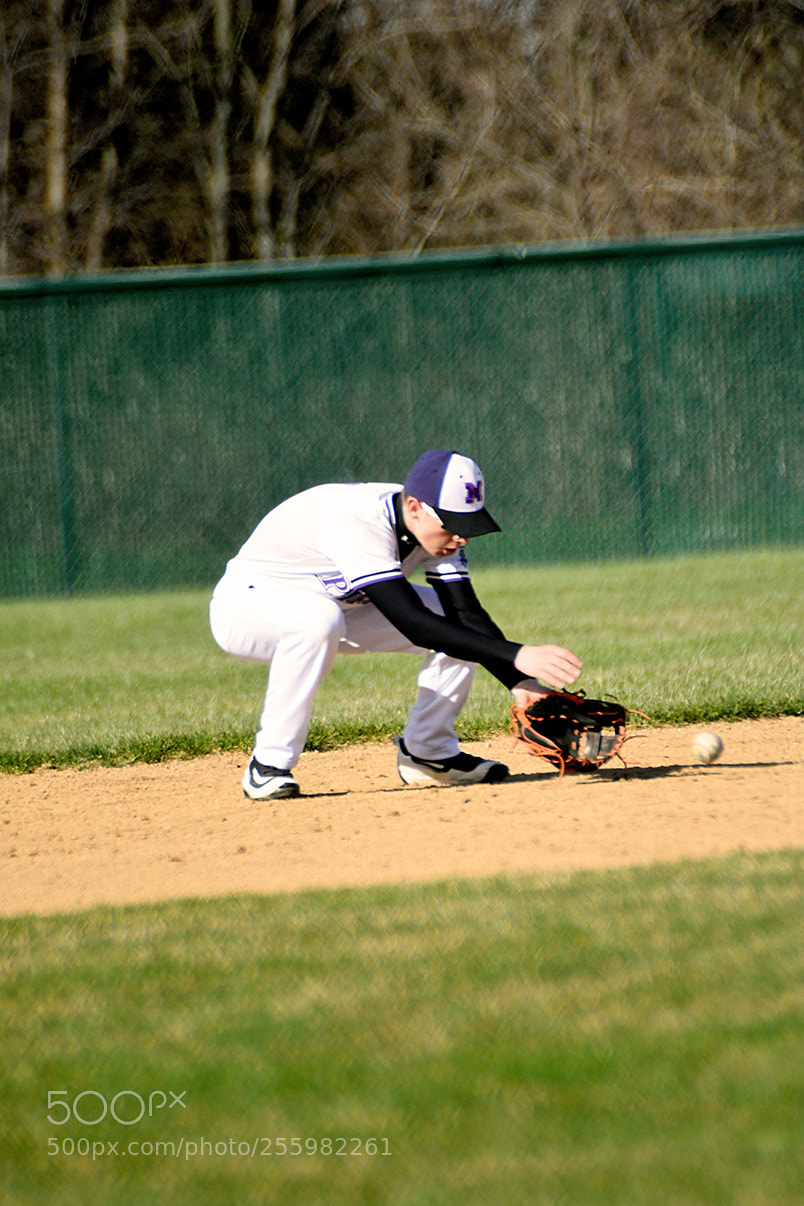 Nikon D500 sample photo. 4-25_0018.jpg photography