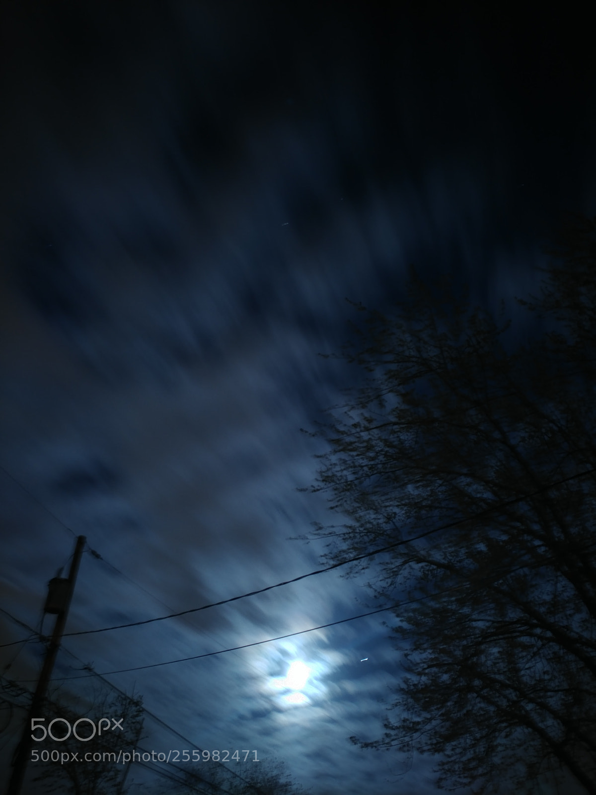 LG V20 sample photo. In motion photography