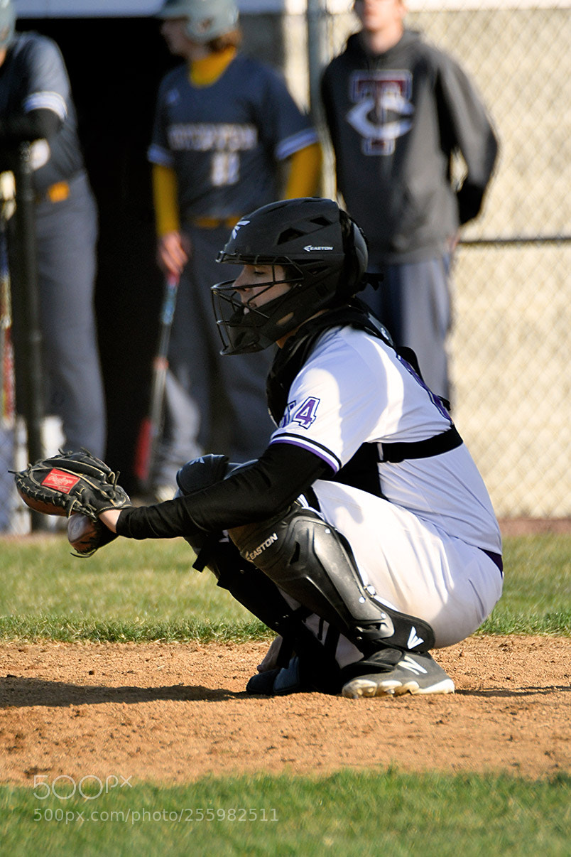 Nikon D500 sample photo. 4-25_0290.jpg photography