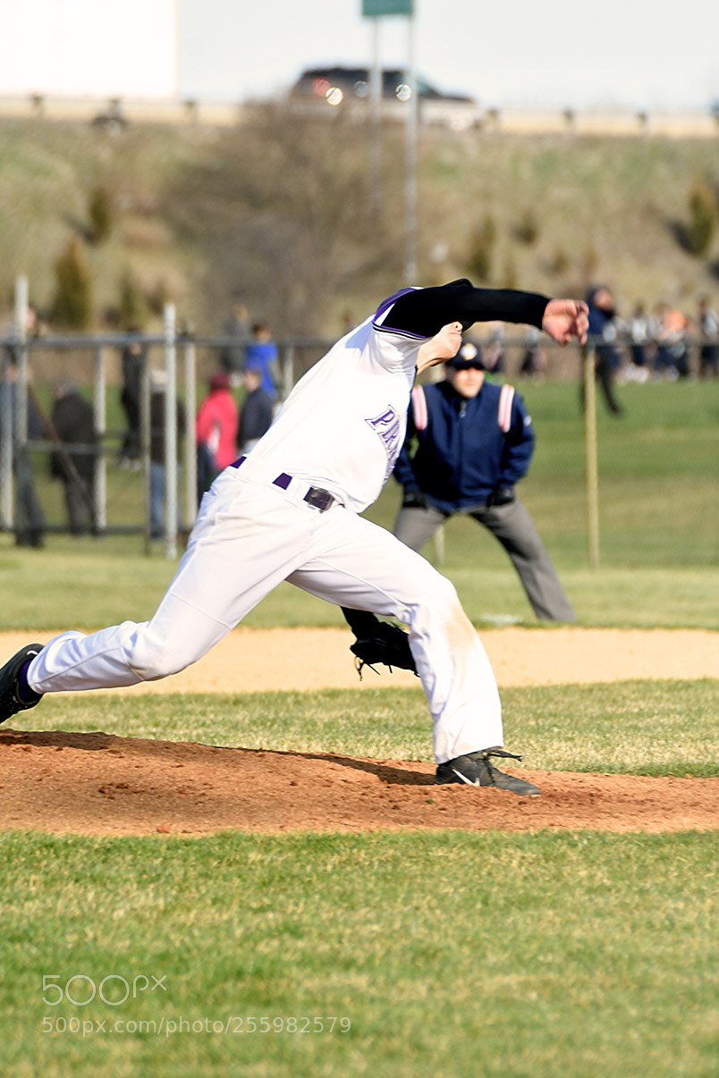 Nikon D500 sample photo. 4-25_0292.jpg photography