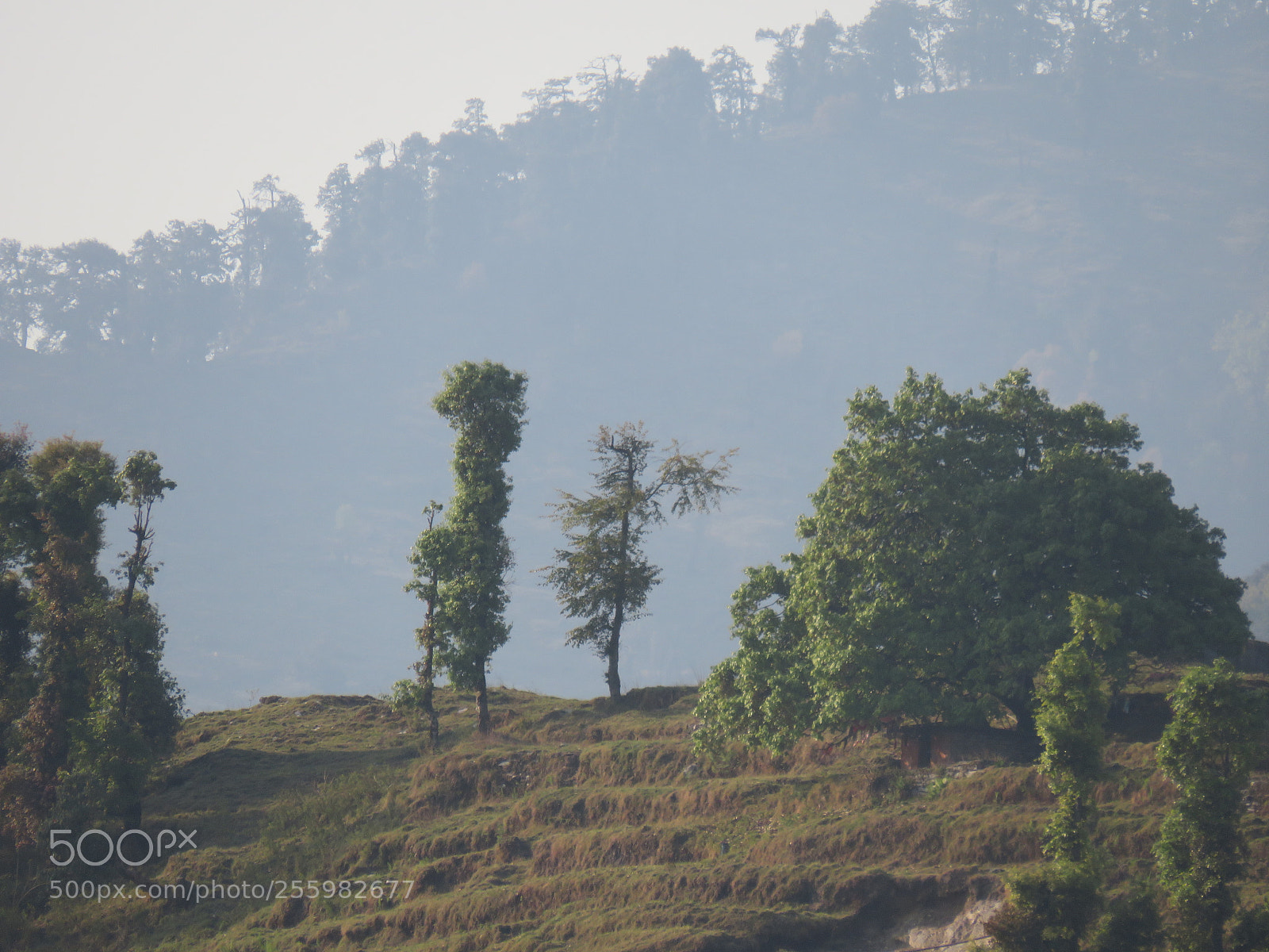 Canon PowerShot SX540 HS sample photo. Kumaon beauty photography