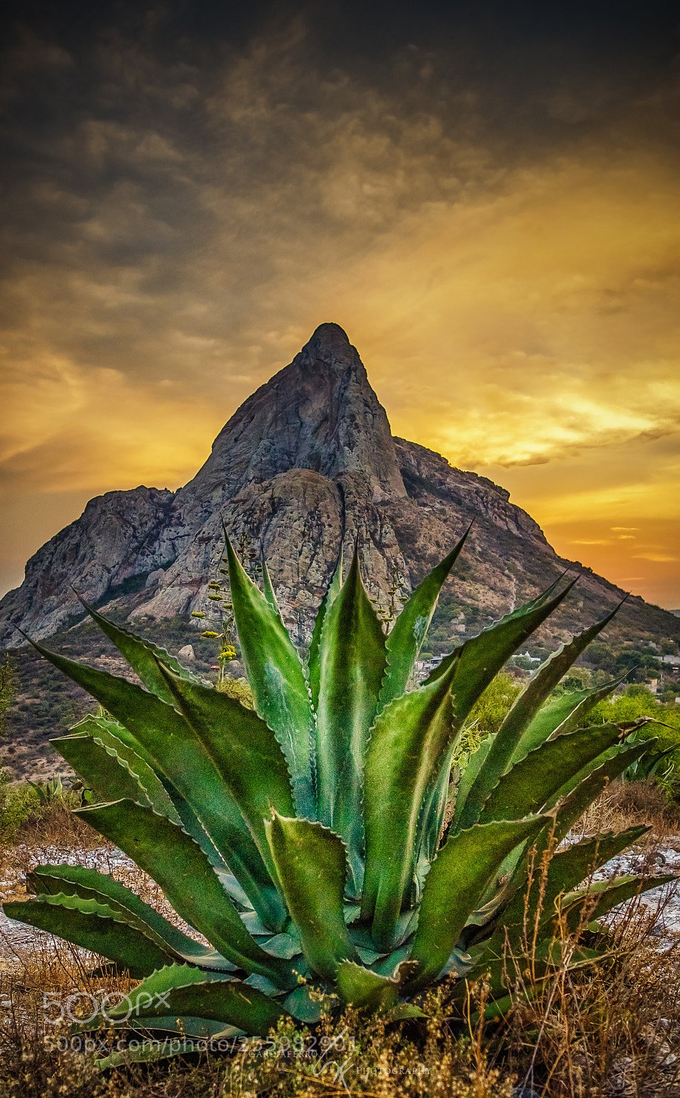 Canon EOS-1D X Mark II sample photo. Sunrise at pe a photography