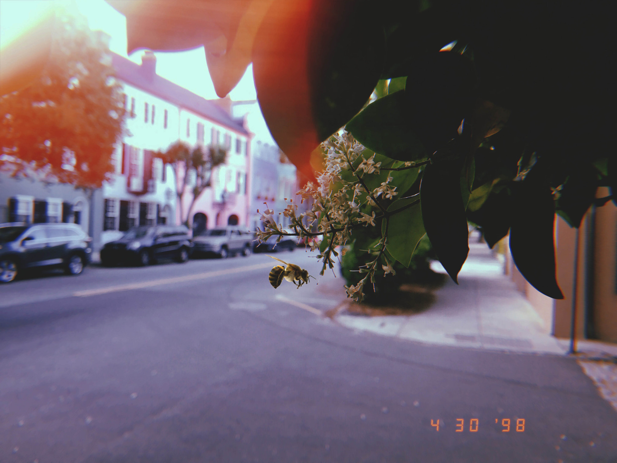 Apple iPhone sample photo. Beeautiful. photography