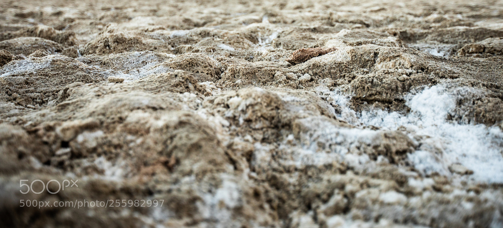 Canon EOS 5D Mark IV sample photo. Death valley d2 photography