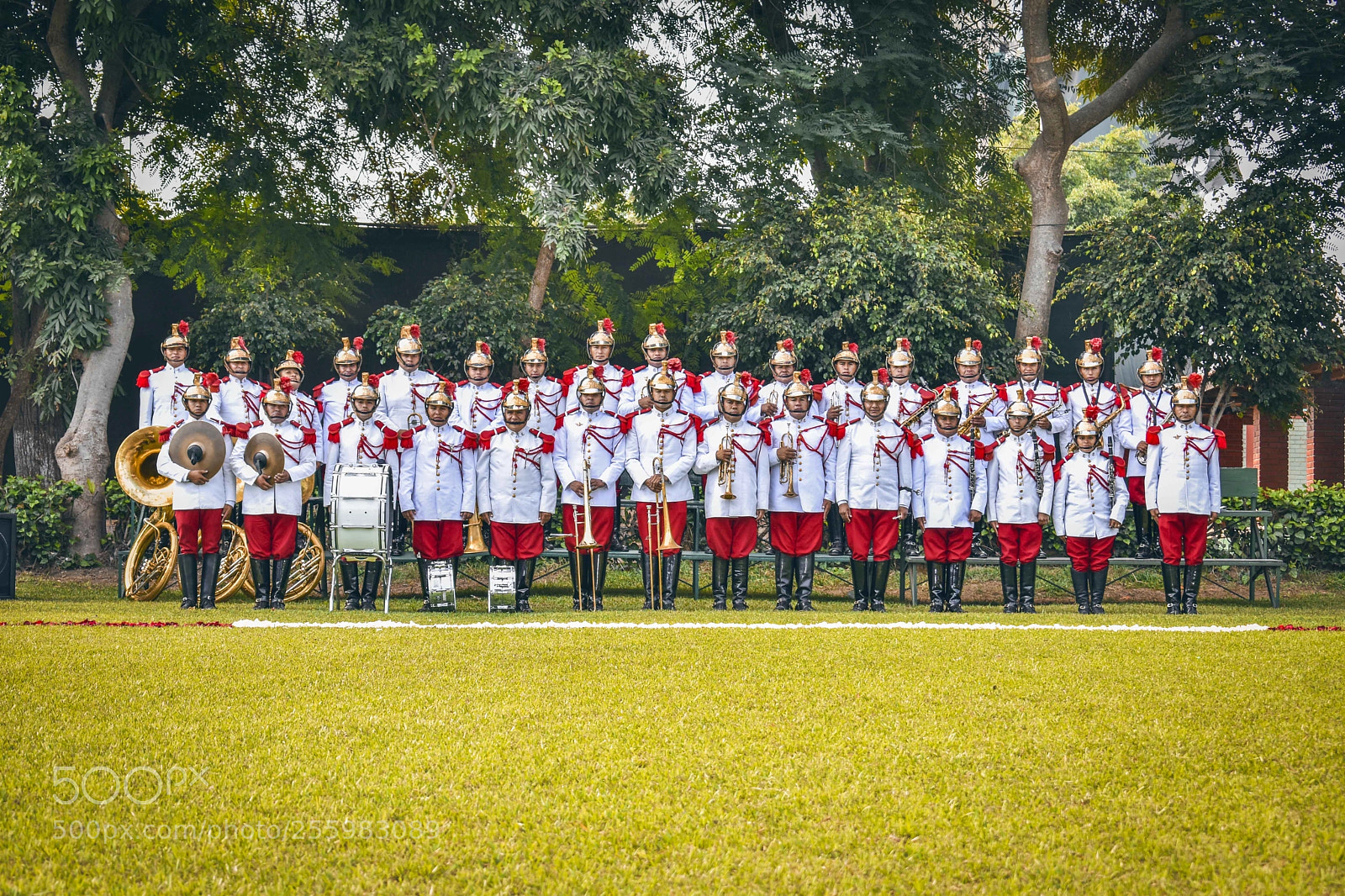 Nikon D5600 sample photo. Orquesta photography