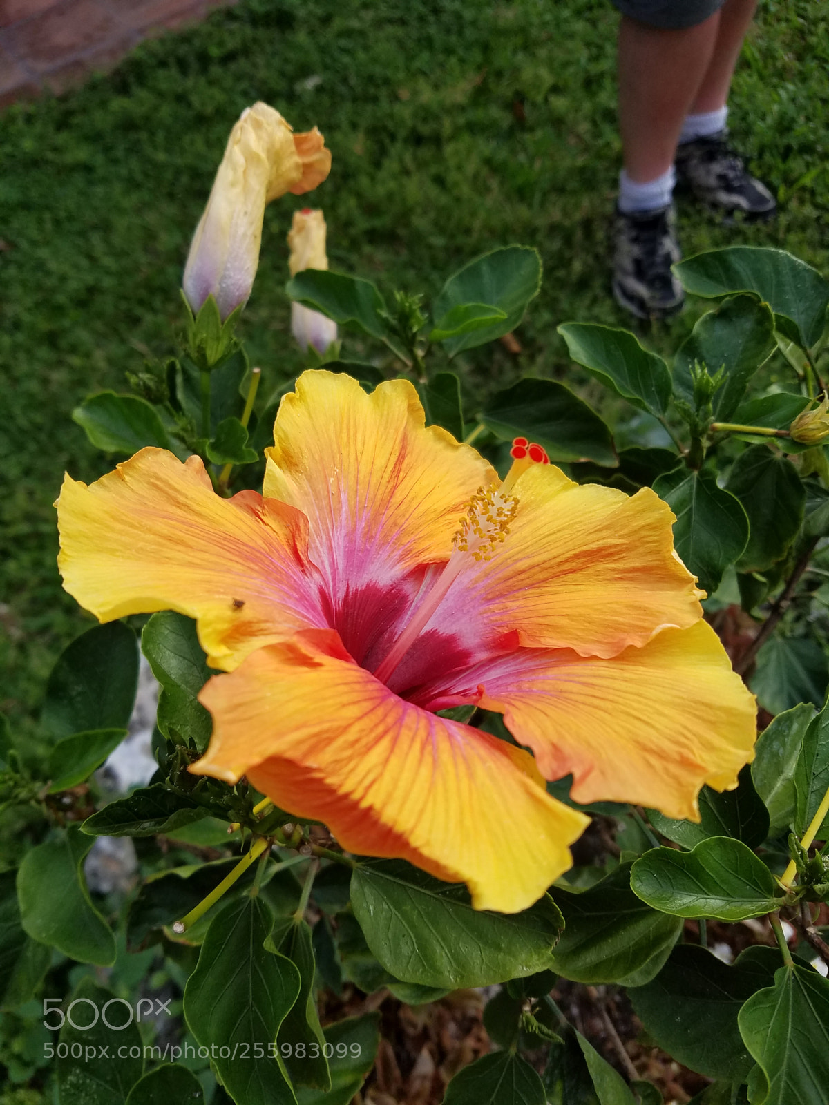 Samsung Galaxy S7 sample photo. Untitled photography