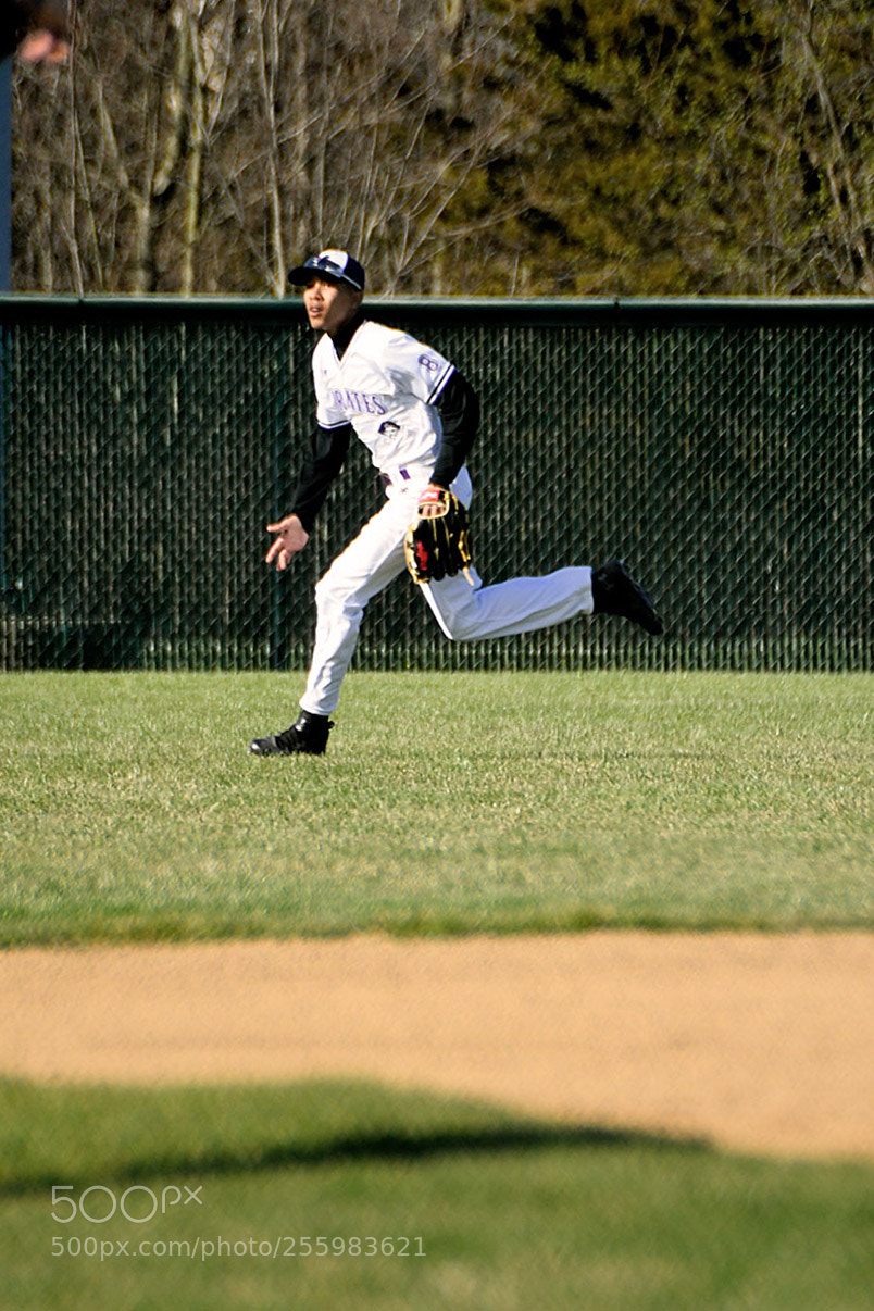 Nikon D500 sample photo. 4-25_0059.jpg photography