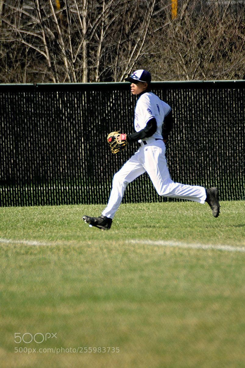 Nikon D500 sample photo. 4-25_0062.jpg photography