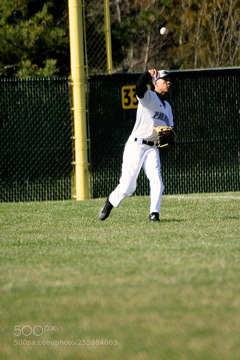 Nikon D500 sample photo. 4-25_0067.jpg photography