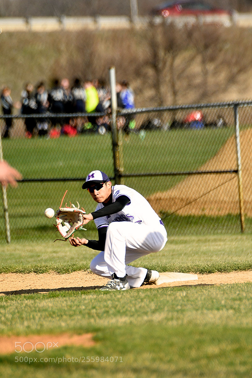 Nikon D500 sample photo. 4-25_0324.jpg photography