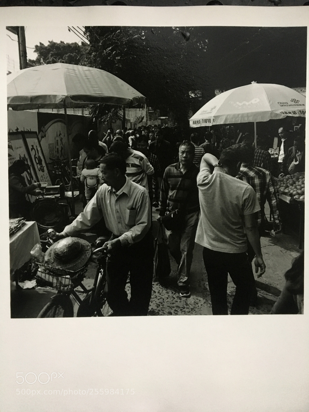 Apple iPhone 6s sample photo. Rolleiflex 3.5f ilfordhp5 ilfordhp8x10fb photography