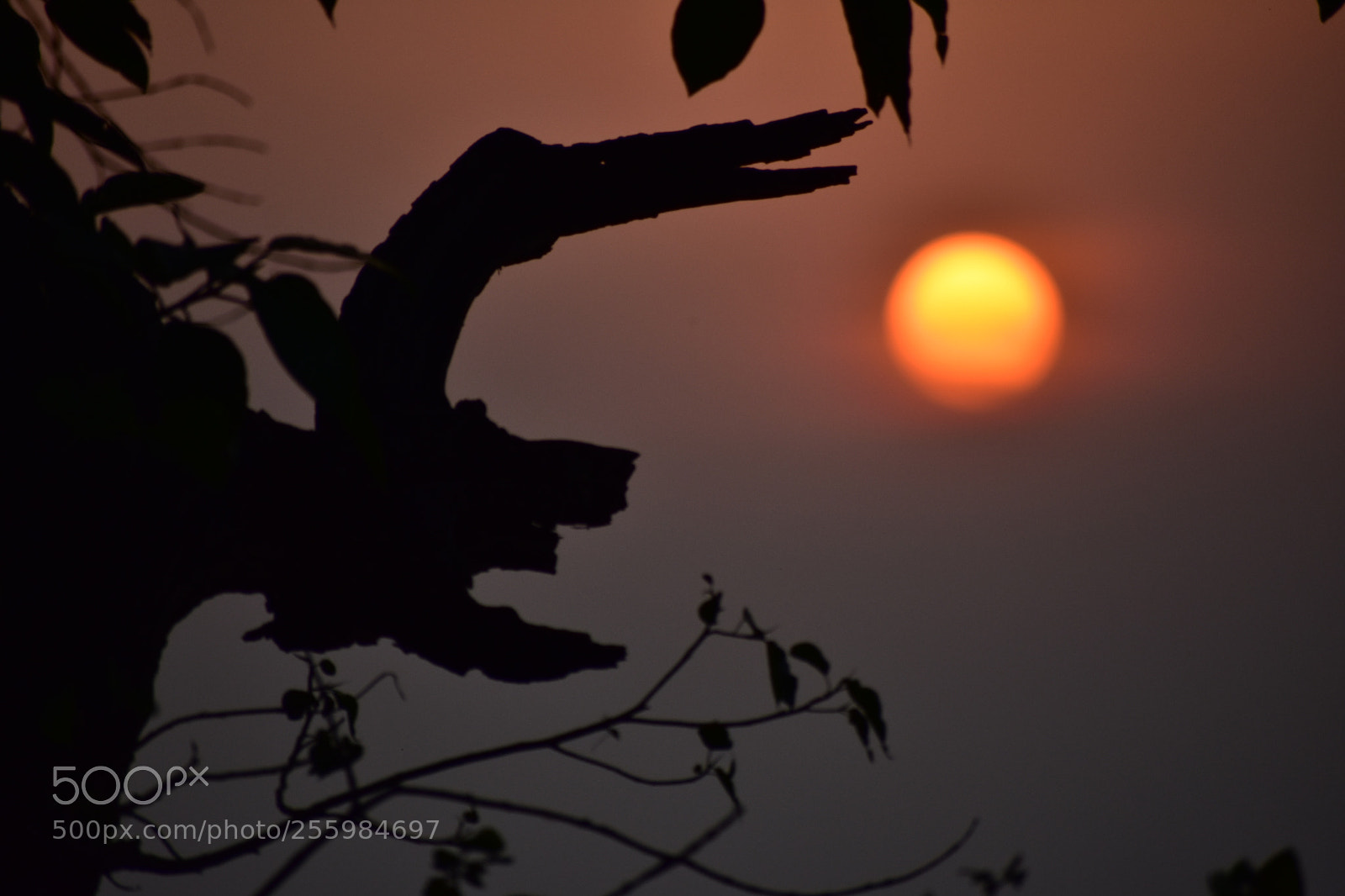 Nikon D3400 sample photo. Untitled photography