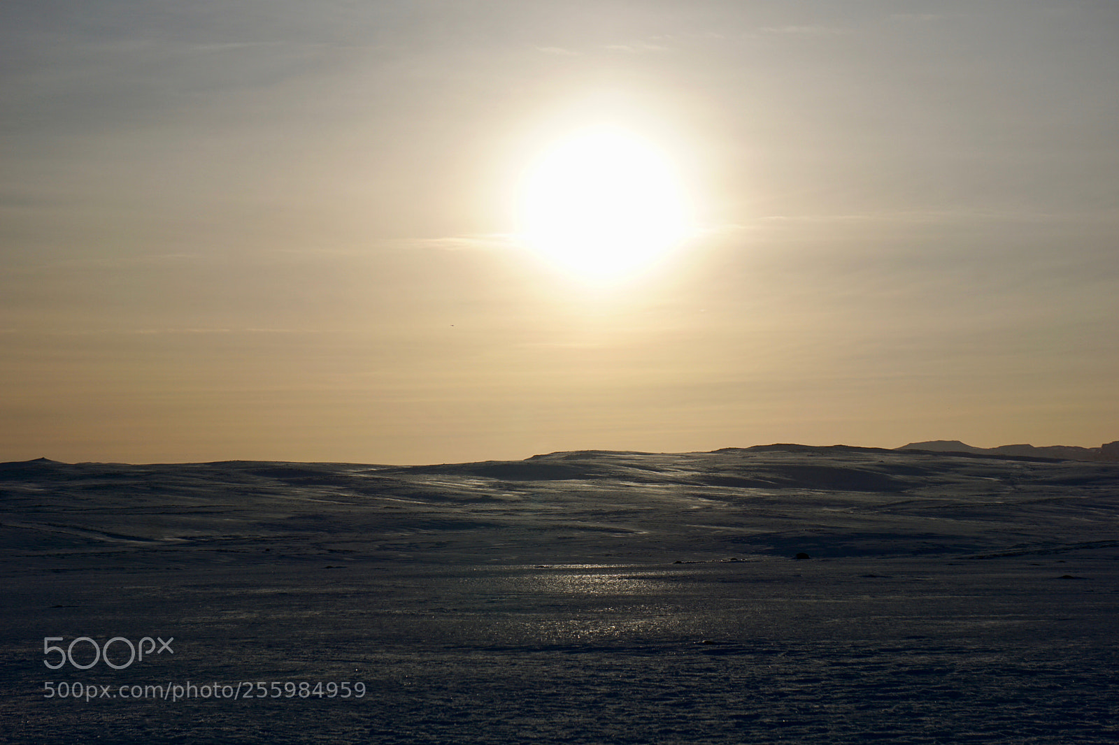 Sony a6000 sample photo. Under an arctic sun photography