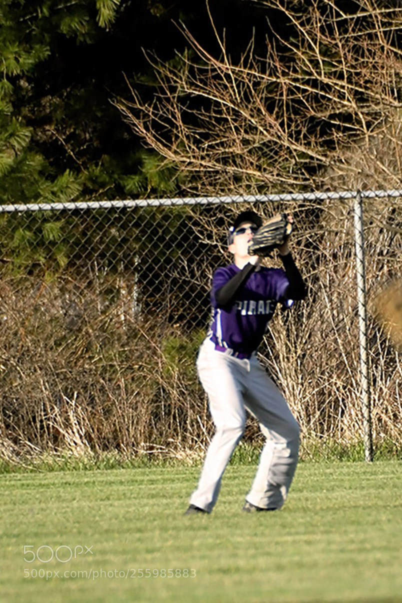 Nikon D500 sample photo. 4-25_0540.jpg photography
