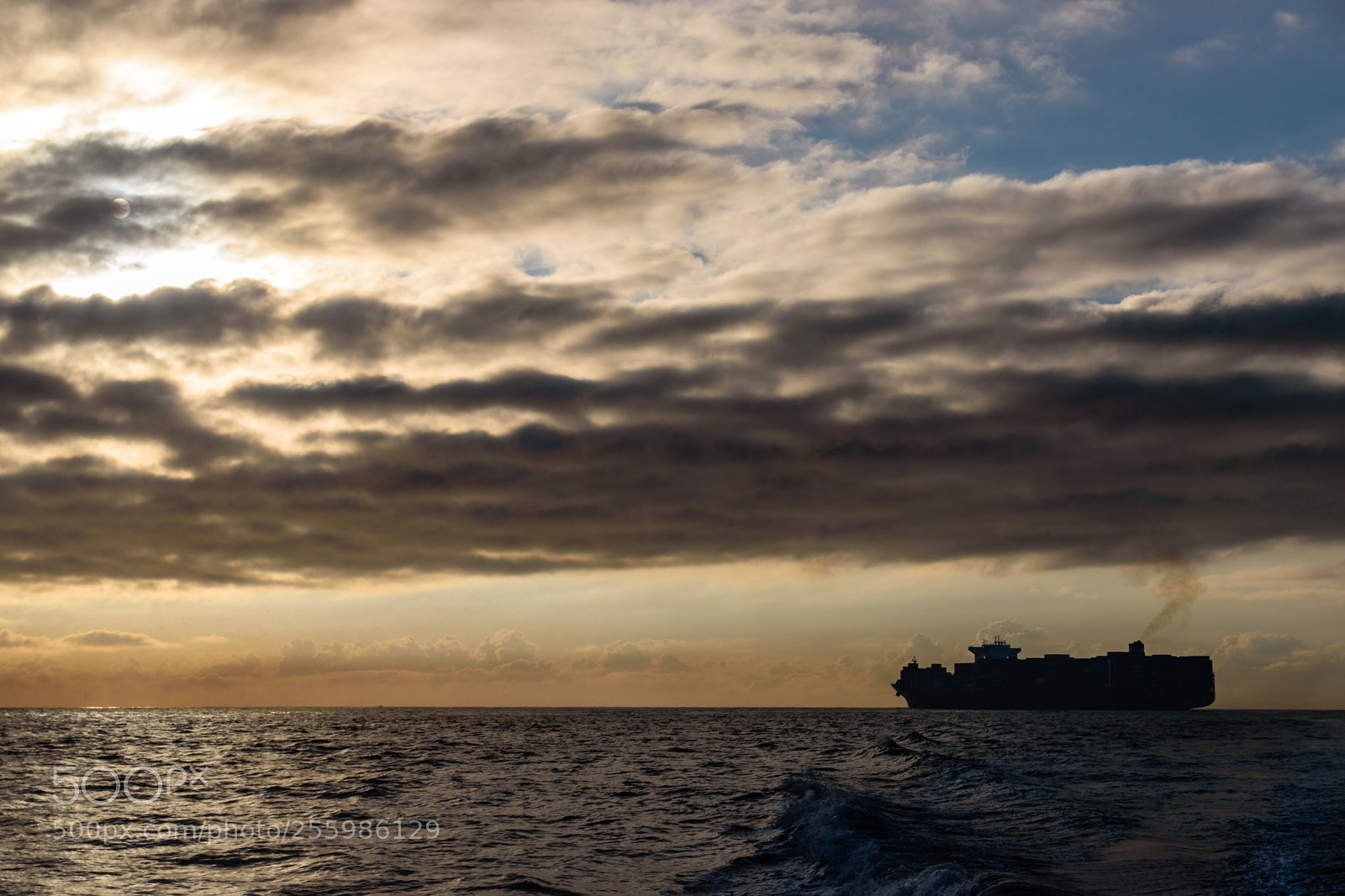 Nikon D5600 sample photo. Large freighter sails into photography