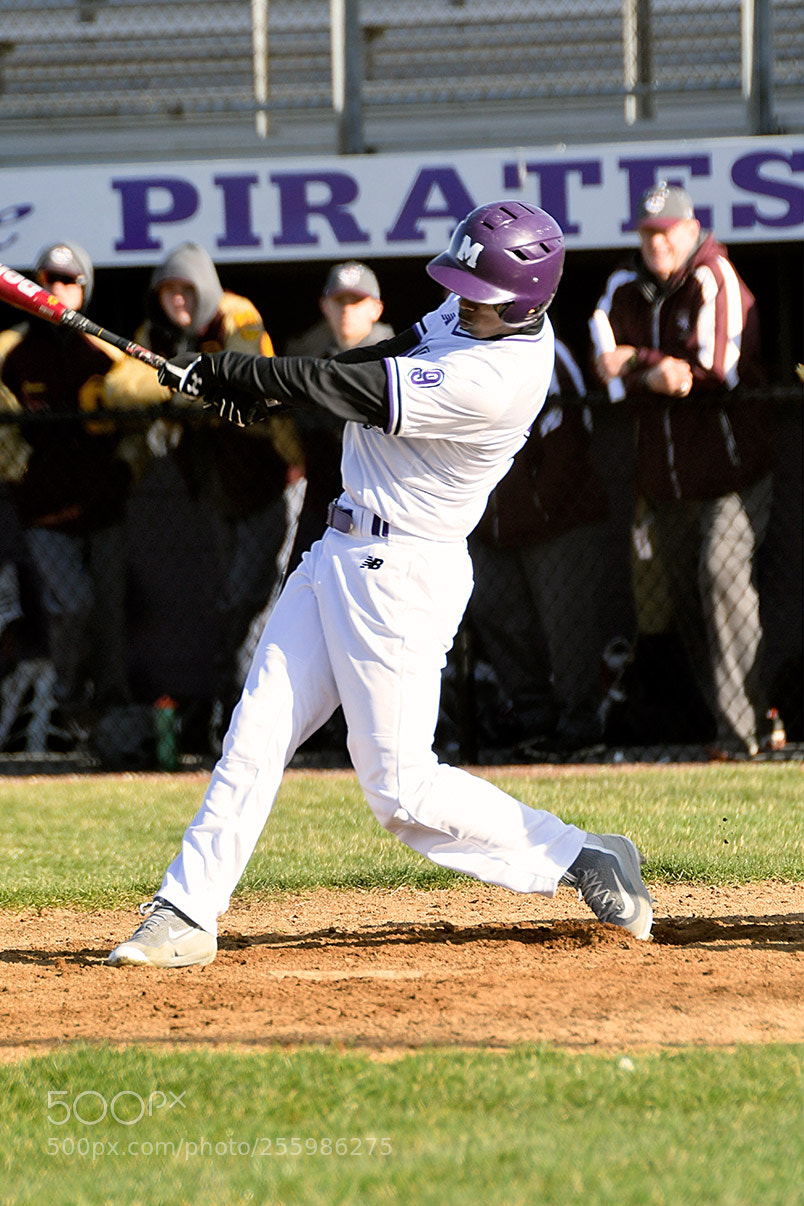 Nikon D500 sample photo. 4-25_0371.jpg photography