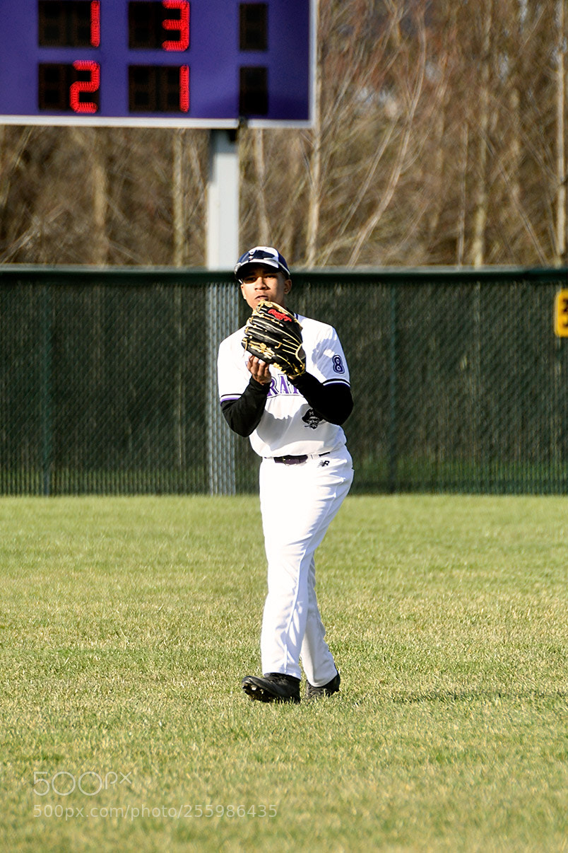 Nikon D500 sample photo. 4-25_0373.jpg photography