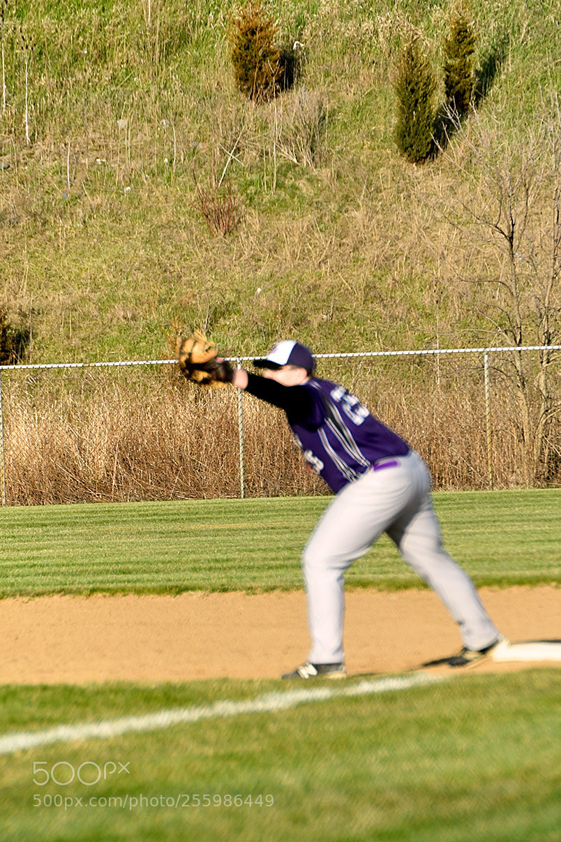 Nikon D500 sample photo. 4-25_0563.jpg photography