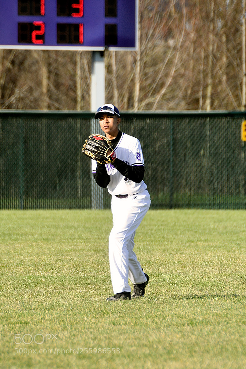 Nikon D500 sample photo. 4-25_0374.jpg photography