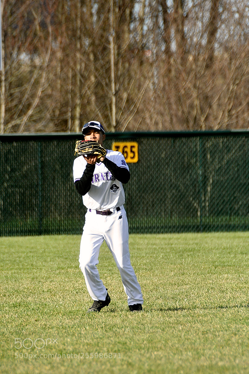 Nikon D500 sample photo. 4-25_0378.jpg photography