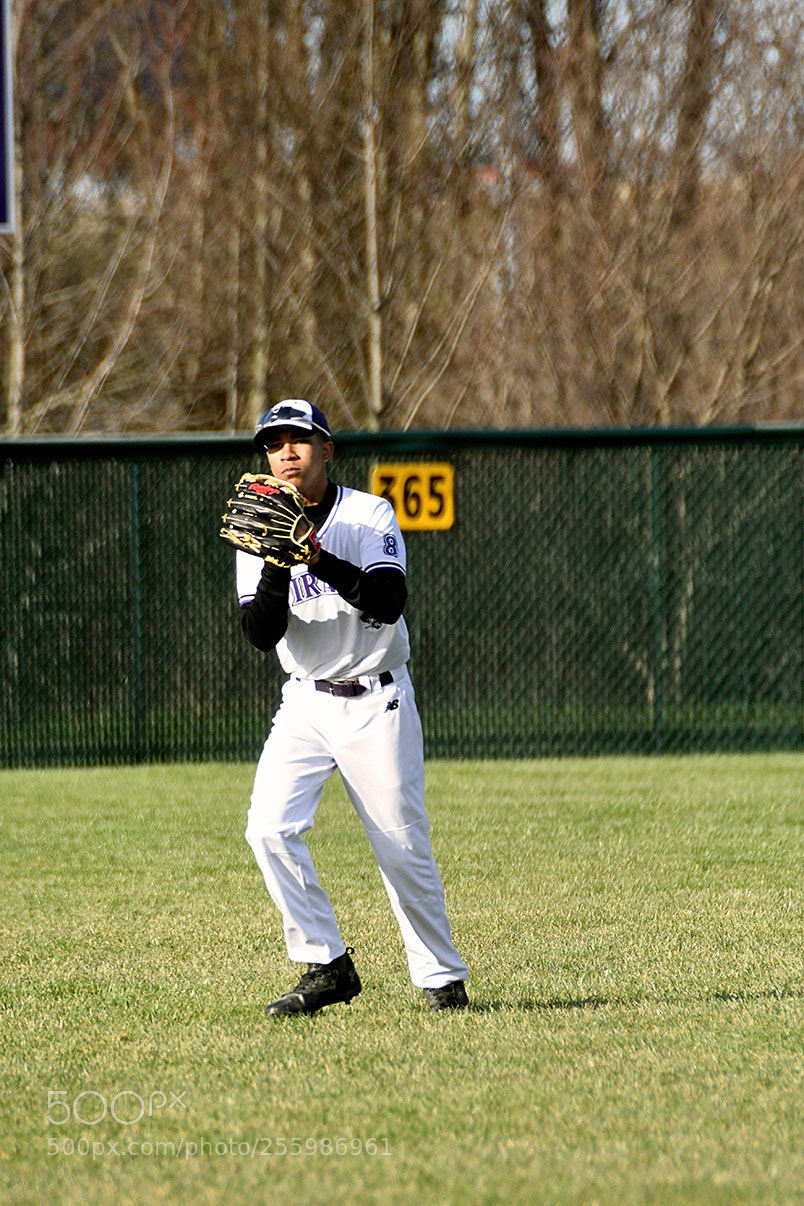 Nikon D500 sample photo. 4-25_0379.jpg photography