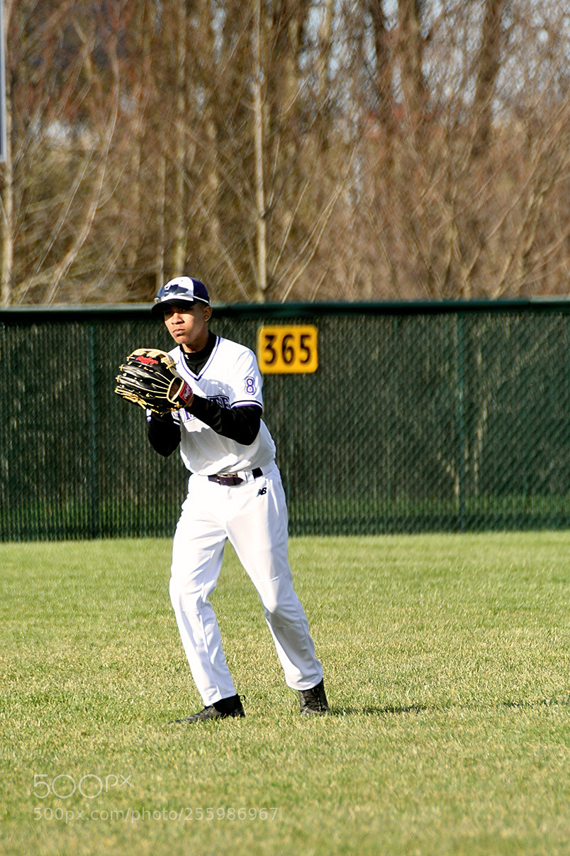 Nikon D500 sample photo. 4-25_0380.jpg photography
